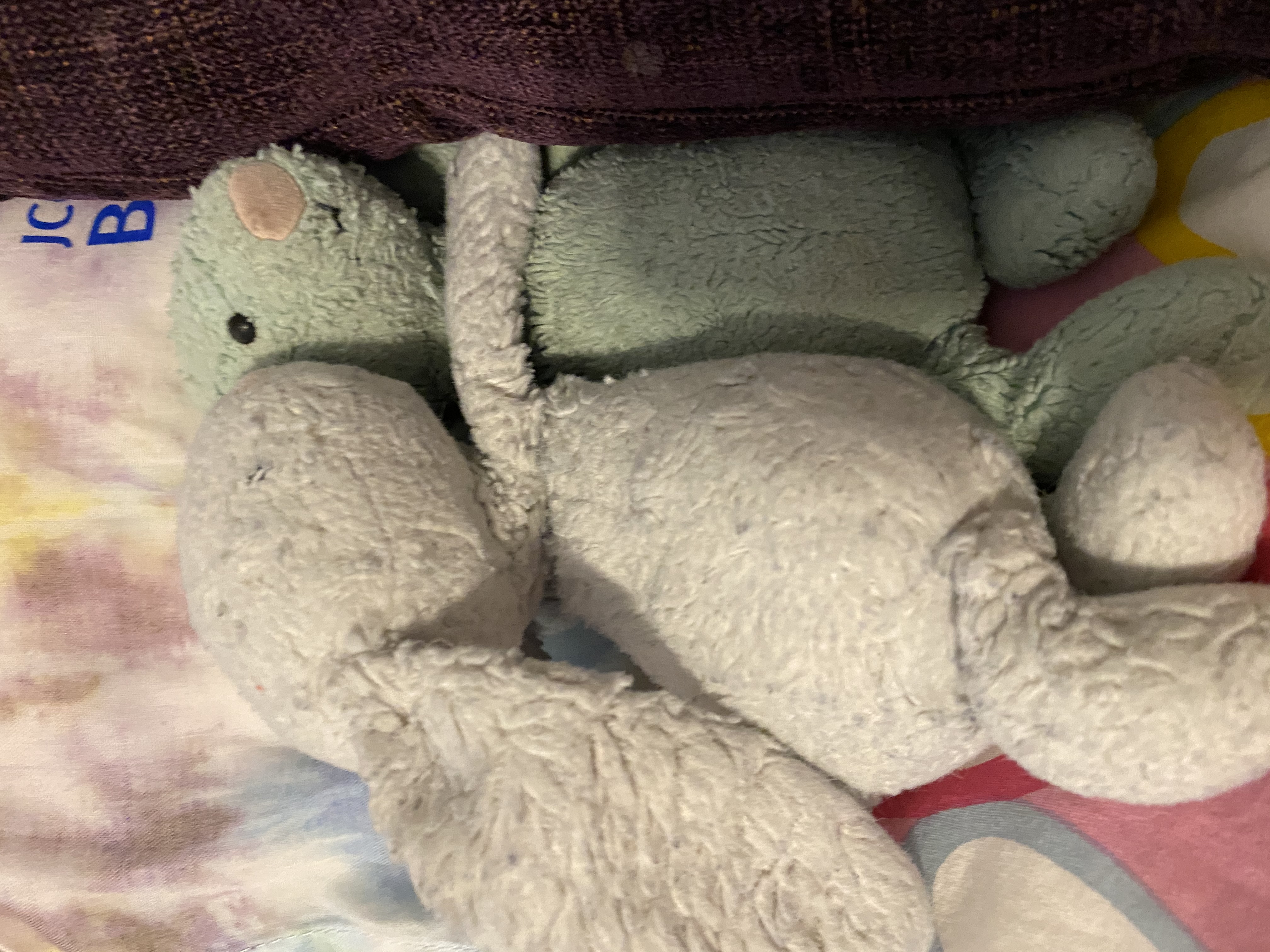 Blue Lou tucked in close